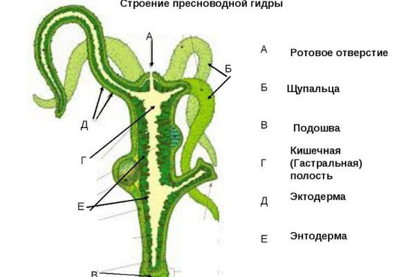 Кракен сайт 1kraken me официальный