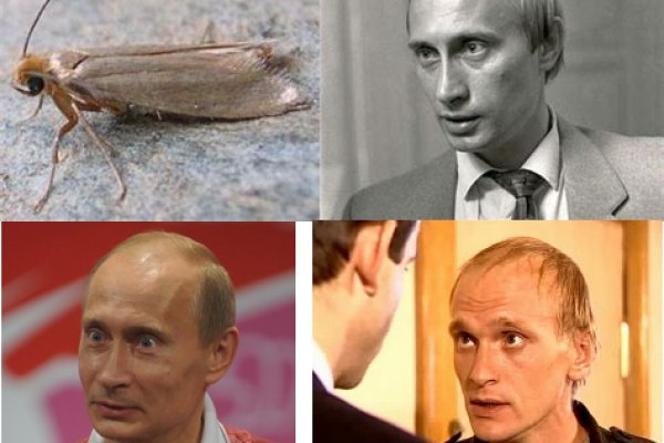 Darknet ссылка кракен kraken014 com