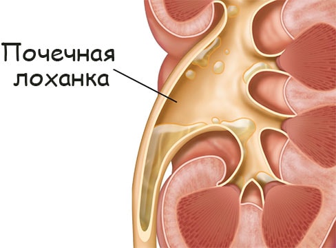 Кракен маркет плейс